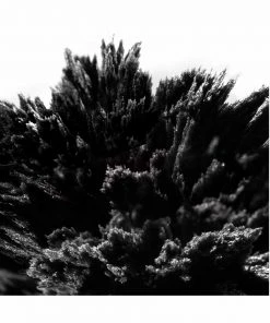 Lancer Skin Care YOUNGER REVEALING MASK INTENSE REFILL