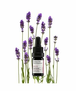 Odacité JO+L CLOGGED PORES JOJOBA + LAVENDER SERUM CONCENTRATE Skin Care